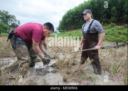 U.S. Navy Chief Hospital Corpsman Andres Naranjo, Verteidigung POW/MIA Accounting Agentur (DPAA) augmentee Medic, Links, sucht nach Metall Signaturen mit US-Armee Sgt. 1. Klasse Chris Varner, DPAA team leader, auf einem Reisfeld in Lang Son Provinz, Vietnam, Nov. 22, 2017. Forschung und Untersuchung Teams reisten durch die Provinzen im Norden von Vietnam als sie Zeugen Interviews und archäologische Stätte Erhebungen bei Leads und Websites validieren für künftige Baugrube Operationen auf der Suche nach der verlorenen US-Mitglieder zum Fortschritt. Naranjo ist ein Unabhängiges Pflicht Corpsman am Naval Hospital J stationiert Stockfoto