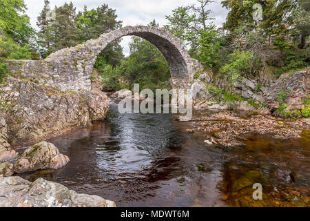 Ein Blick auf die alte Packesel Brücke in Carrbridge in den schottischen Highlands Stockfoto