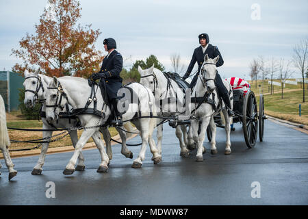 Soldaten, die aus dem 3D-US Infanterie Regiment (Alte Garde) Caisson Platoon beteiligt sich an der vollen Ehren Begräbnis des US Marine Corps Pvt. Archie Newell in Abschnitt 60 von Arlington National Cemetery, Arlington, Va., Nov. 8, 2017. Mit der Firma C, zweiter Tank Battalion, 2nd Marine Division in 1943 zugewiesen, Newell starb, als seine Abteilung versucht, die kleine Insel Betio im Tarawa Atolls aus der Japanischen zu sichern. Obwohl die Schlacht mehrere Tage dauerte, Newell starb am ersten Tag der Schlacht, Nov. 20, 1943. Zunächst wird nach dem Ende von Kampfhandlungen auf Tarawa, US-Mitglieder wurden in einer Reihe von b begraben Stockfoto