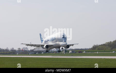 Hamburg, Deutschland - 17. April 2018: Airbus Beluga A300-600ST Anzahl 2 Landung am Airbus in Hamburg Finkenwerder Stockfoto