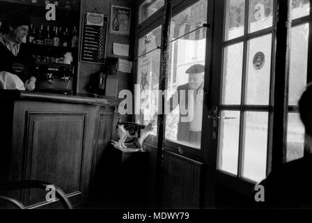 AJAXNETPHOTO. LOUVECIENNES, Frankreich. - CAFE CAT-MAN ANSCHLÄGE KATZE DURCH FENSTER GLAS CAFE IM DORF. Foto: Jonathan Eastland/AJAX REF: 9004 18 1 Stockfoto