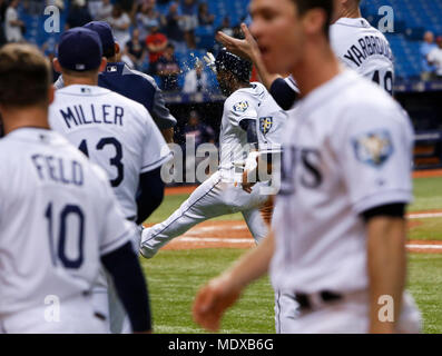 St. Petersburg, Florida, USA. 20 Apr, 2018. MONICA HERNDON | Zeiten. Tampa Bay Rays Spieler feiern nach dem Die walkoff Sieg gegen die Minnesota Twins im Tropicana Field am 20. April 2018 in St. Petersburg, Fla. Credit: Monica Herndon/Tampa Bay Zeiten/ZUMA Draht/Alamy leben Nachrichten Stockfoto