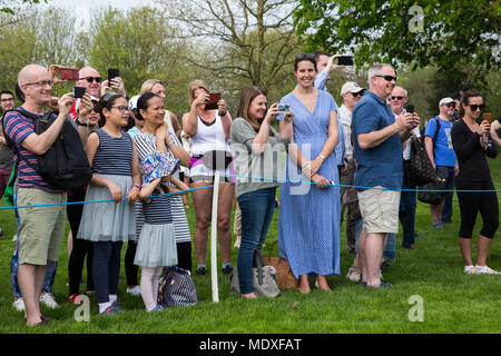 Windsor, Großbritannien. 21. April 2017. Wellwishers warten auf die traditionellen 21-gun Salute zum 92. Geburtstag der Königin auf dem langen Spaziergang im Windsor Great Park. Credit: Mark Kerrison/Alamy leben Nachrichten Stockfoto