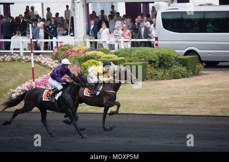 Frankreich, Ile de France Region, Val de Marne, Hippodrome de Vincennes, Prix du Président de la République, Camille Levesque, montiert Trab, Stockfoto