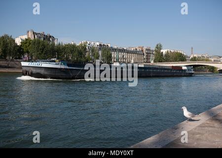 Pariser Arrondissement, Rue Francois Mitterrand (Quai des Tuileries) Seine Ufer, Möwe und Schiff, Stockfoto