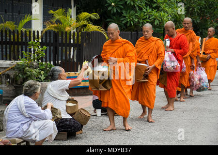 Buddhistische Mönche, die Almosen auf Khounsua Straße in der Morgendämmerung; Luang Prabang Luang Prabang, Laos Stockfoto