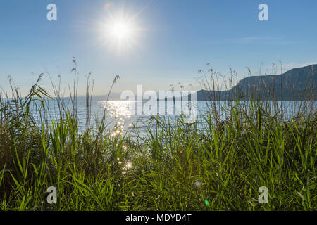 Schilf entlang der Küstenlinie mit Sonne über den Gardasee (Lago di Garda) der Gardasee in Venetien, Italien Stockfoto