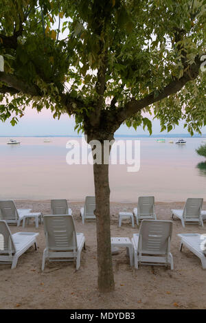 Baum und Reihen von Liegestühlen am Strand am Gardasee (Lago di Garda) im Morgengrauen in Bardolino, in Venetien, Italien Stockfoto