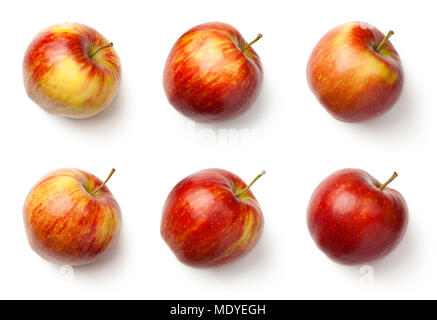Äpfel auf weißem Hintergrund. Jonagold Apfel. Ansicht von oben Stockfoto