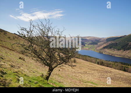 Auf der Suche nach unten auf die Talybont Valley und Behälter in die Brecon Beacons National Park Stockfoto