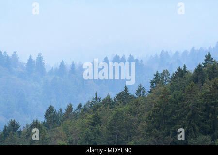 Berge Wald an einem nebligen Morgen im Waldhauser im Nationalpark Bayerischer Wald in Bayern, Deutschland Stockfoto