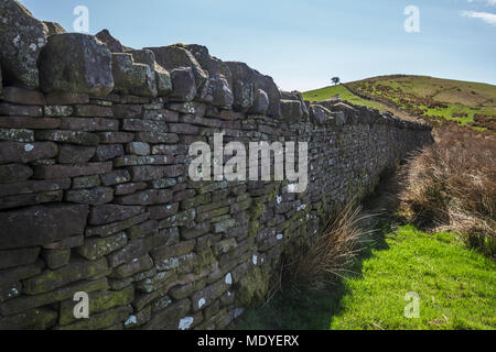 Trockenmauer oberhalb der Talybont Behälter in der Zentralen Brecon Beacons Stockfoto