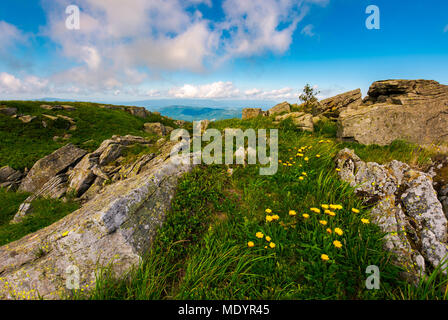 Löwenzahn zwischen den Felsen in Karpaten Alpen. Schweren Wolken am blauen Himmel über die Berggipfel in der Ferne.  Lebendige Sommerlandschaft bei Sonnenuntergang. Stockfoto