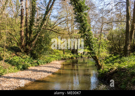 Der Fluss fließt durch das Sid Byes, Sidmouth. Die Sid ist einer der kürzesten Flüsse Englands, 6 Meilen lang. Stockfoto