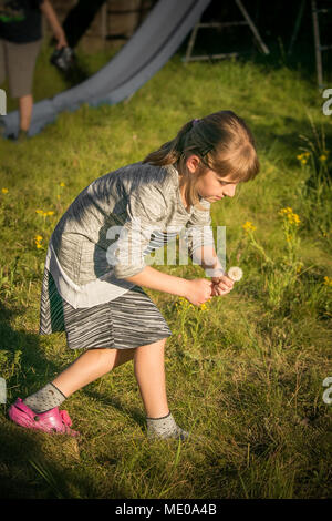 Hübsches Mädchen Kommissionierung Löwenzahn auf dem Rasen ihr Haus und spielen im Hintergrund Stockfoto