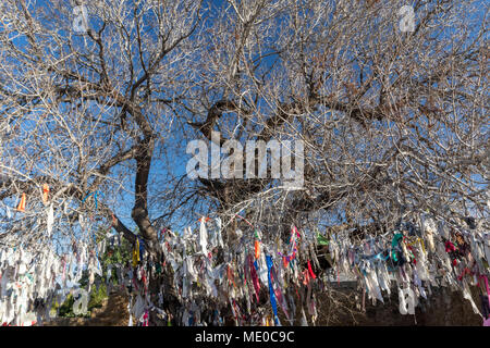 Agia Solomoni christliche Katakombe mit Krankheit kurieren farbige Tücher auf der Eiche Baum, Kato Paphos, Paphos, Zypern, Europa Stockfoto