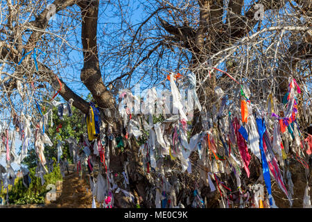 Agia Solomoni christliche Katakombe mit Krankheit kurieren farbige Tücher auf der Eiche Baum, Kato Paphos, Paphos, Zypern, Europa Stockfoto