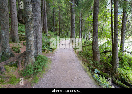 Lakeside Pfad auf See Grosser Arbersee, Bayerisch Eisenstein im Bayerischen Wald in Bayern, Deutschland Stockfoto