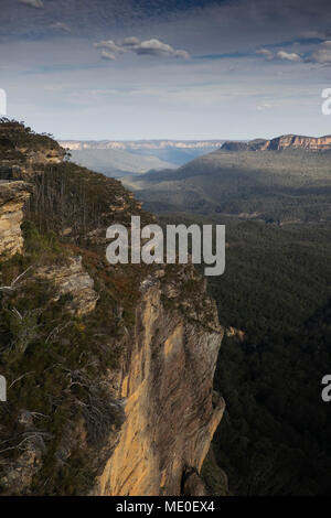Einen herrlichen Blick auf das Hochplateau in den Blue Mountains Nationalpark in New South Wales, Australien Stockfoto