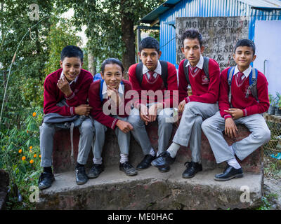 Portrait von fünf männlichen Studenten in Uniform sitzen auf einem konkreten Ledge, Glenburn Tea Estate; Darjeeling, West Bengalen, Indien Stockfoto