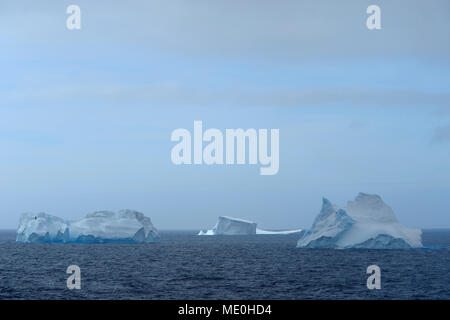 Eisberge in der Antarktis Sound an einem bewölkten Tag auf der Antarktischen Halbinsel, Antarktis Stockfoto