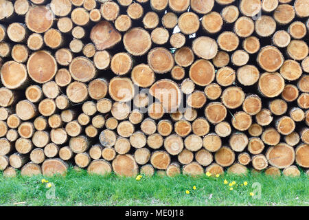 Woodpile auf Gras. Stockfoto