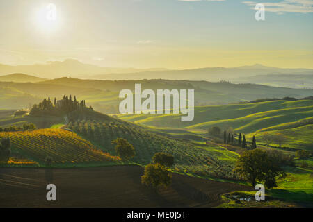 Einen herrlichen Überblick über die toskanische Landschaft mit Bauernhaus bei Sonnenuntergang in San Quirico d'Orcia in der Val d'Orcia in Siena, Italien Stockfoto