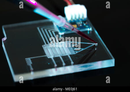 Lab-on-a-Chip (LOC). Stockfoto