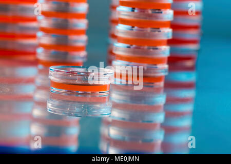 Agarplatten. Stapel von Petrischalen mit kultivierten Agar. Stockfoto