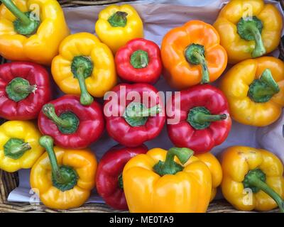 Ein Korb voller bunter Paprika in Gelb, Rot und Orange an einer im Markt Stockfoto