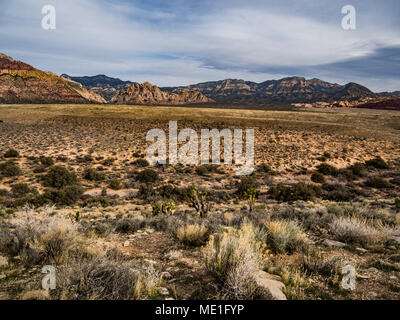 Der Red Rock Canyon National Conservation Area, Nevada Stockfoto