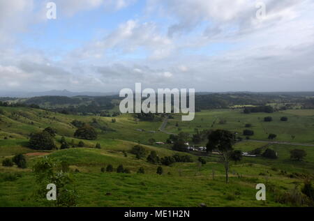 Breites Panorama der Landschaft im Norden von New South Wales mit grünen Feldern. Grasbewachsenen Hügel in Australien. Blick von minyon Falls lookout, Schlummertrunk Nati Stockfoto