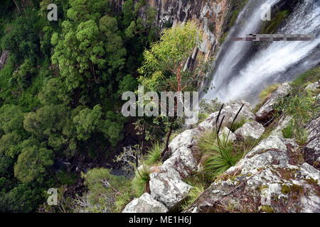 Minyon Wasserfall in Nightcap National Park. grünen Wald. Die Aussicht von oben. Das Minyon Falls ist ein kopfsprung Wasserfall an der Buße Creek in der Nor Stockfoto