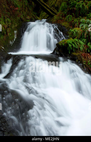 Wasserfall bei Shepperds Shepperds Dell, Dell State Park, Columbia River Gorge National Scenic Area, Oregon Stockfoto