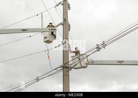 Mayaguez, Puerto Rico, Dez. 8, 2017 -- Auftragnehmer der US-Armee Korps der Ingenieure (Usace) Arbeiten an Freileitungen in Mayaguez reparieren. Die FEMA zugeordnet, USACE führt die Bundesregierung Anstrengungen unternehmen, um die elektrischen Netz durch die Hurrikane Schäden zu reparieren. Die FEMA/Eduardo Martinez Stockfoto