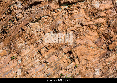 Nahaufnahme auf Franziskanische Hornsteine geologische Formationen in den Marin Headlands - Geologie Hintergrund oder Hintergrund Stockfoto