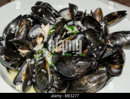 Nahaufnahme auf Muscheln gedämpft auf weiße Platte garniert mit Knoblauch - Meeresfrüchte Teller top Aussicht serviert Stockfoto