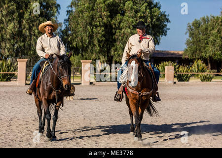 Ein caballeros reiten Pferde auf der Rancho DEL SOL DORADO - San Miguel de Allende, Mexiko Stockfoto