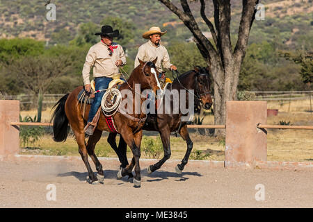 Ein caballeros reiten Pferde auf der Rancho DEL SOL DORADO - San Miguel de Allende, Mexiko Stockfoto