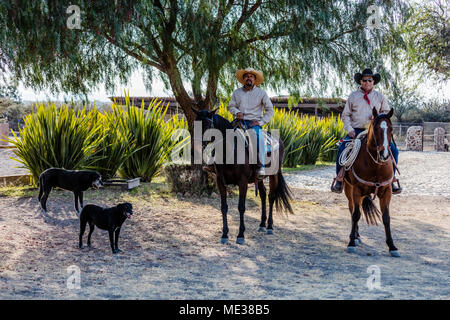 Ein caballeros reiten Pferde auf der Rancho DEL SOL DORADO - San Miguel de Allende, Mexiko Stockfoto