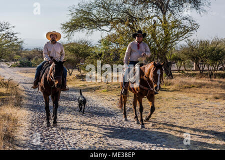 Ein caballeros reiten Pferde auf der Rancho DEL SOL DORADO - San Miguel de Allende, Mexiko Stockfoto