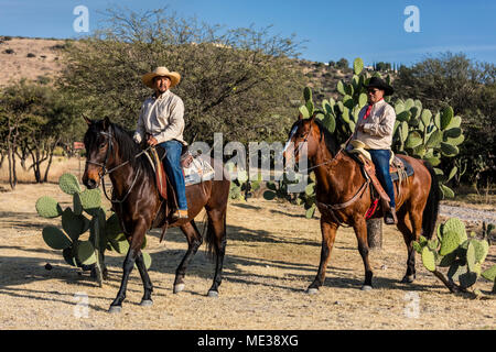 Ein caballeros reiten Pferde auf der Rancho DEL SOL DORADO - San Miguel de Allende, Mexiko Stockfoto