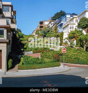 Der Lombard Street in San Francisco, Kalifornien Stockfoto