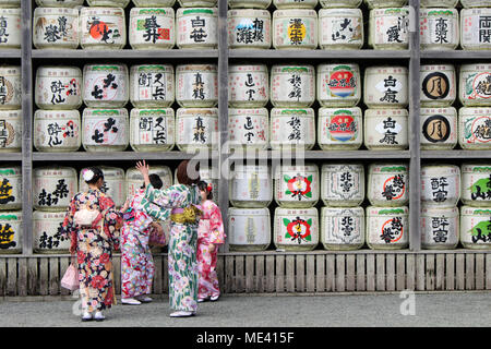 Übersetzung: Mädchen im Kimono vor der Trommeln oder Fässer von Sake (japanischer alkoholische Getränke) an tsurugaoka Schrein. In Kamakura, Februar 2018 berücksichtigt. Stockfoto