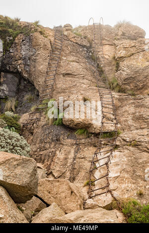 Der obere Satz von Kette Leitern an die Spitze der Amphitheateron der Sentinel Trail auf den Tugela Wasserfall in den Drakensbergen Stockfoto