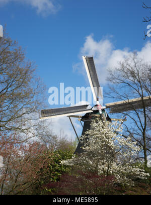 Alte holländische Windmühle mit einem blauen Himmel Hintergrund in Lisse, Niederlande, Europa an einem hellen Sommertag Stockfoto
