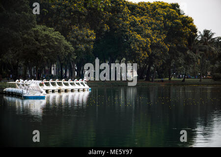 Swan Tretboote in Lumphini Park, Bangkok Stockfoto