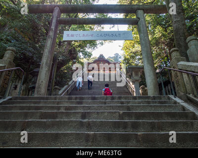 Menschen klettern die Schritte auf Final Approach Tor und wichtigste Heiligtum torii, konpira-san Schrein Kotohira, Kagawa, Shikoku, Japan Stockfoto