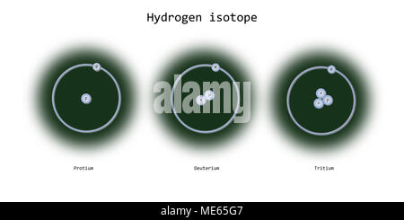 Wasserstoffisotope atomare Struktur - Elementarteilchen Physik Theorie Stockfoto