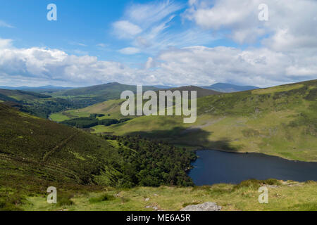 Wanderwege in Wicklow Mountains, Wicklow, Irland Stockfoto